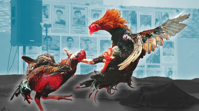 Bí Kíp Săn Thưởng Lớn Khi Tham Gia Cách Chơi Đá Gà Sabong Tại PQ88 2 Bí Kíp Săn Thưởng Lớn Khi Tham Gia Cách Chơi Đá Gà Sabong Tại PQ88