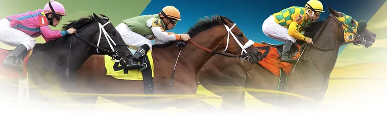 Tìm Hiểu Cá Cược Đua Ngựa PQ88 Trải Nghiệm Đỉnh Cao 1 Tìm Hiểu Cá Cược Đua Ngựa PQ88 Trải Nghiệm Đỉnh Cao